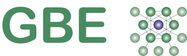 GBE_Logo_def80