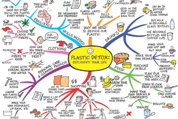 Plastic Detox Deplastify Your Life