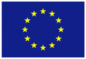 EU Flag Logo