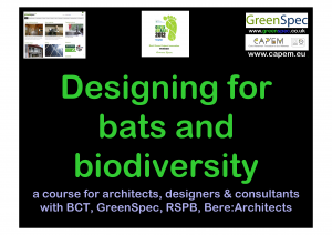 BioDiversity Designing Bats Buildings CPD slide cover