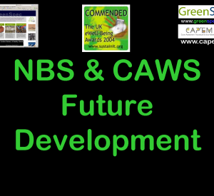 SpecificationNBS+CAWSFuture_Page_1