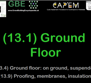 GBE Lecture (13.1) Ground Floor S1