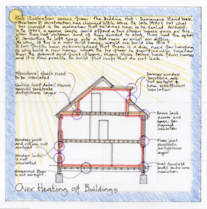Green issues essay picture