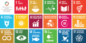 UN SDGs Sustainable Development Goals