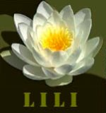 lili_Logo.png