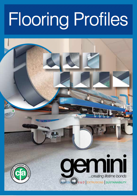 Gemini Literature Cover png