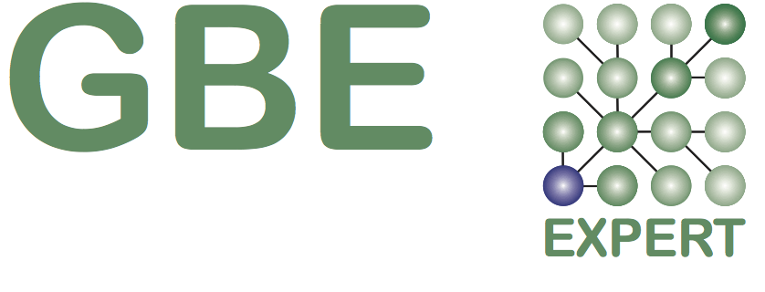 GBE expert Logo 40 EXPERT png